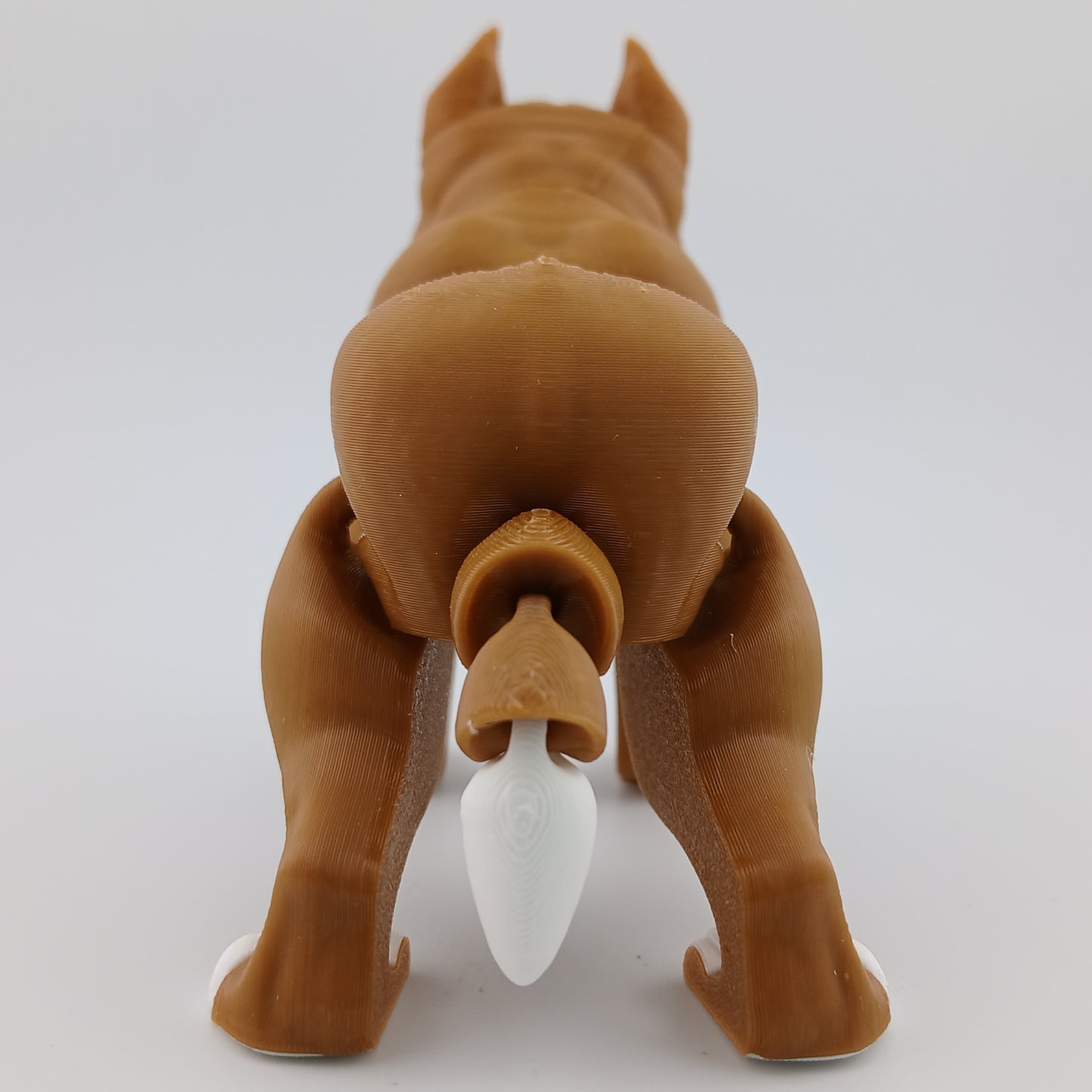 Pitbull